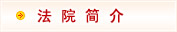 新蔡县法院网